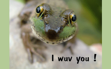 Frog "I Love You" Greeting Card