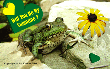 Frog Valentine greeting card