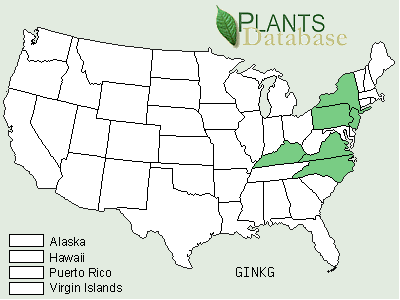 mapofgingkoinusa.gif