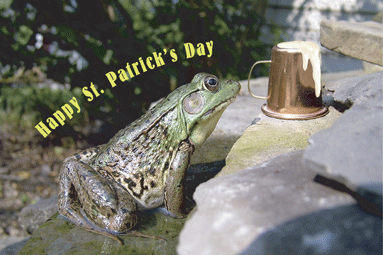 St. Patricks Day Frog Card
