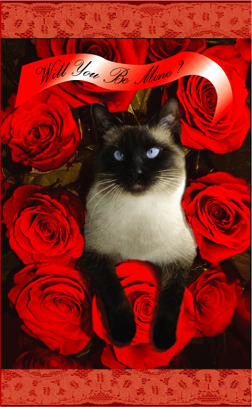 Siamese Cat Valentine Day Greeting Card